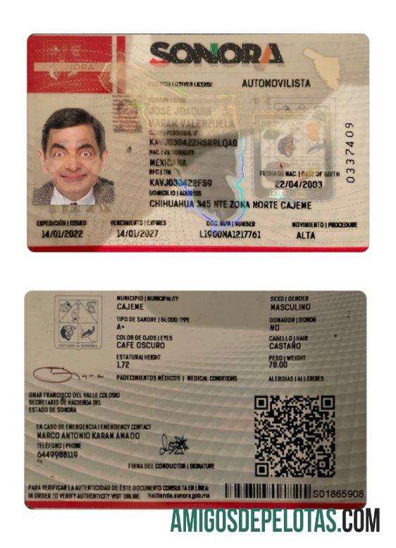 Carteira de motorista do estado de Sonora no México exemplo real